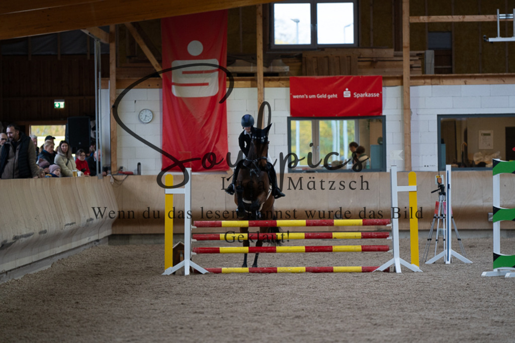 A7V03077 | Pferdefotograf