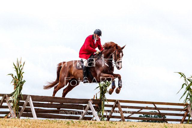 Jagd Knoop 26_MarinaHewigMCH02327 | Fotografie, FotoArt, PferdesportArt, Pferdesportfotografie, Landschaftsfotografie, Reisefotografie, Reise, Pferde - Realisiert mit Pictrs.com