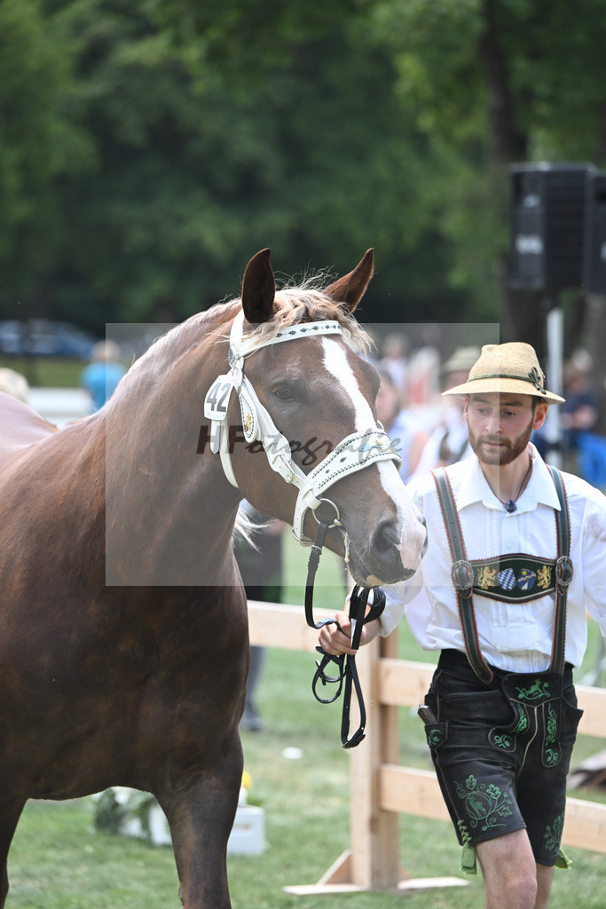 Kat-Nr. 42 Emmeranzia_Ulrich_20230636 | hf-fotografie - Realisiert mit Pictrs.com