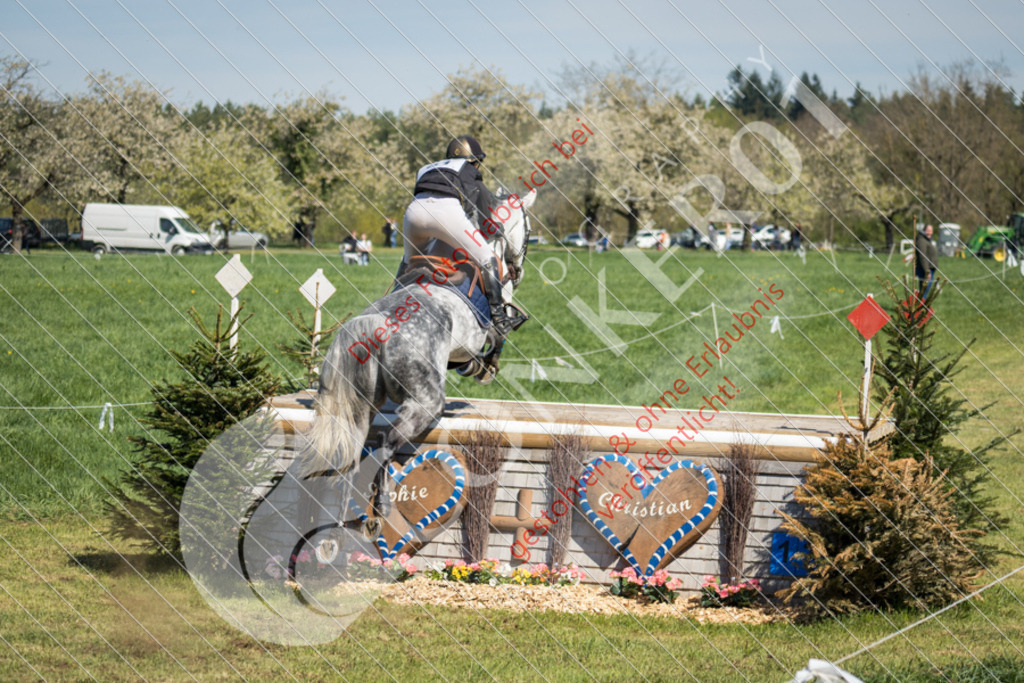 IMG_3441 | Hier findest Du viele Augenblicke aus den Bereichen der Turnier-, Sport- & Tierfotografie. Bilder mit deinem Liebling, Portrait-, Bewerbungs-, Businessbilder können ebenfalls schnell und einfach erstellt werden.
