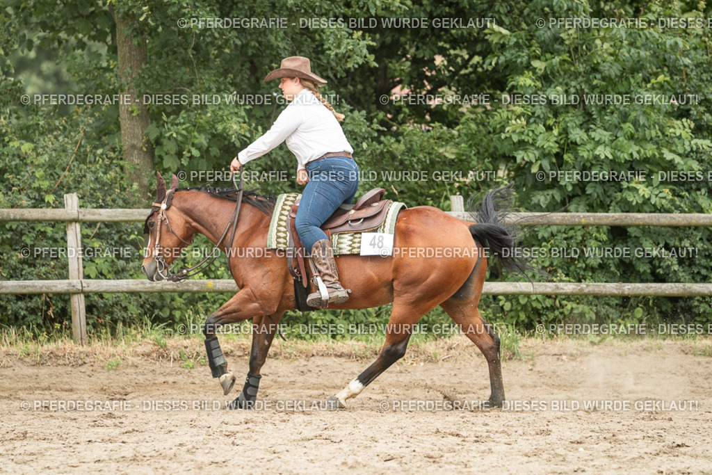 DSC04289 | Pferdegrafie