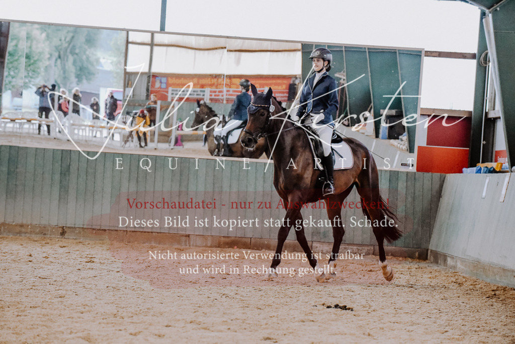 DSC_7627 | Pferde- und Turnierfotografie in Westsachsen. Pferdeportraits, Auftragszeichnungen und intuitive Kunst.