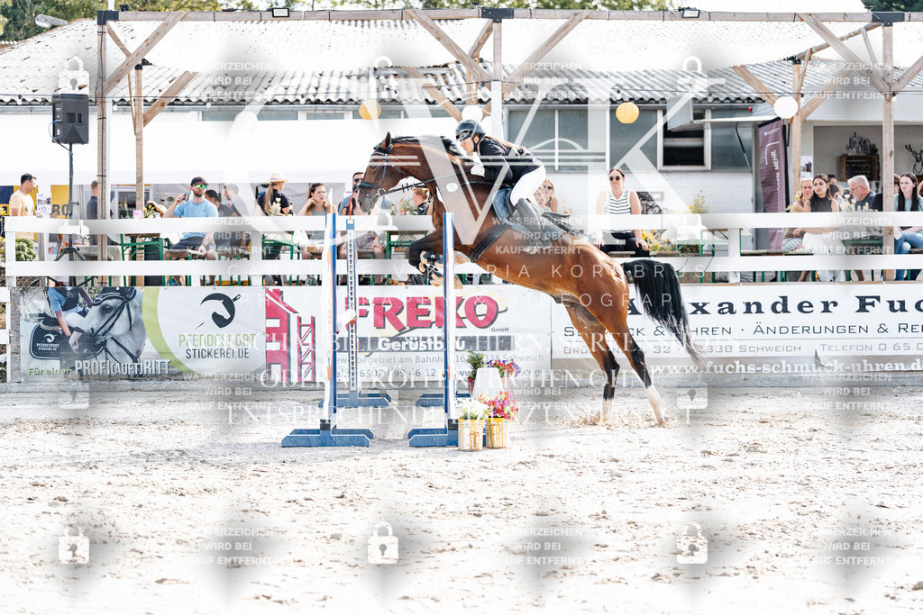 CK905652 | Turnierfotografie Pferdefotografie Trier Rheinland-Pfalz Pferdesport Reitsport Tierfotografie Sportfotografie Pferdevideo Pferdevideografie Equestrianvideography equestrianphotography  - Realisiert mit Pictrs.com