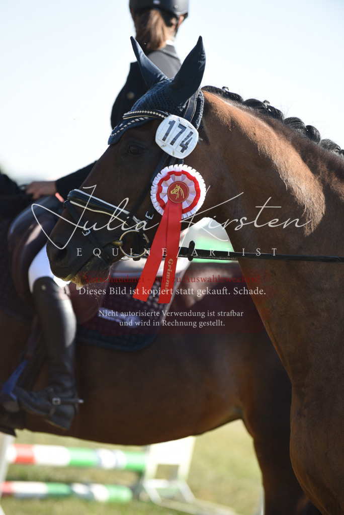 DSC_5463 | Pferde- und Turnierfotografie in Westsachsen. Pferdeportraits, Auftragszeichnungen und intuitive Kunst.