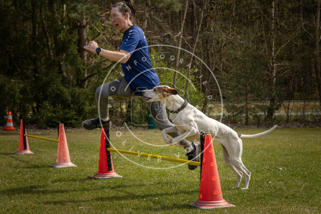 Pfotenfotografie_DV3A7004 | Hundefotografie, Tierfotograf, Pfotenfotografie, Fotoshooting Hund, Hunde Portrait, Hundesport, Hundeportraits, Heideshooting, Hunde, Sportfotograf, Hundefotograf, Turnierhundsport, THS,  - Realisiert mit Pictrs.com