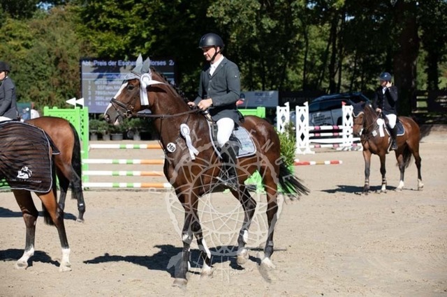 2B4A0376 | pixelfaenger - Realisiert mit Pictrs.com