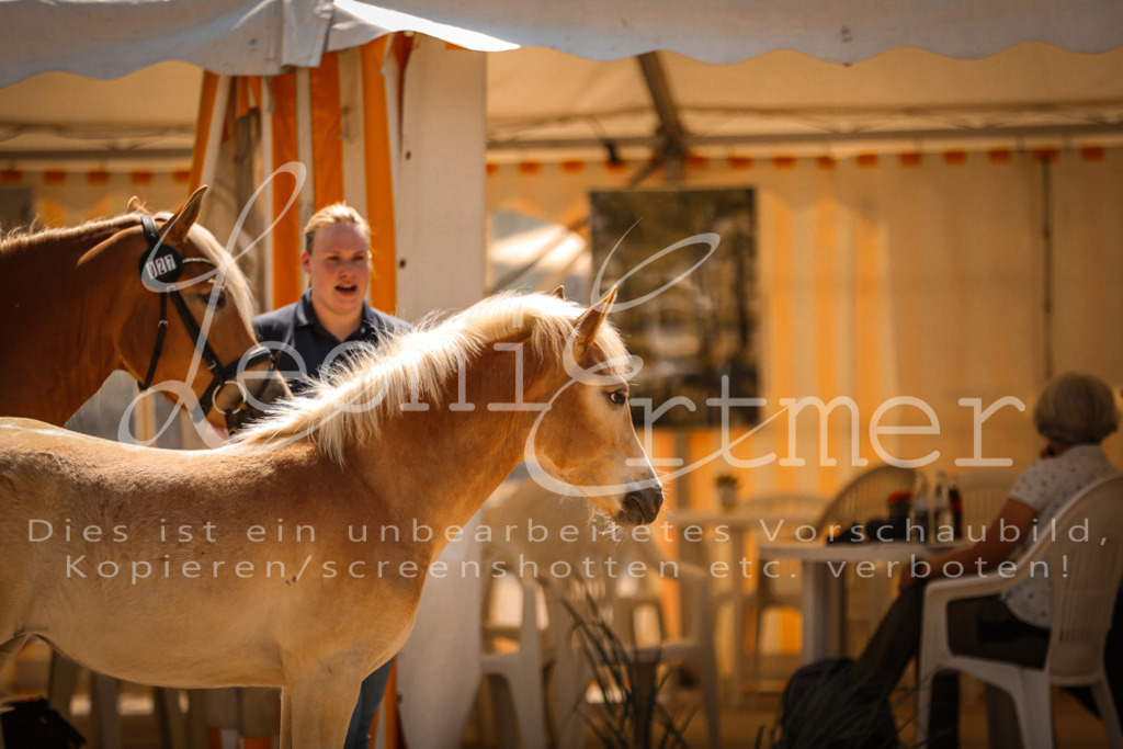 06.DoH00028 | Leoni Ertmer Photography - Realisiert mit Pictrs.com