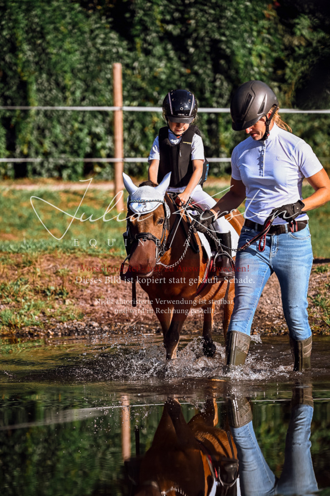 DSC_0484 | Pferde- und Turnierfotografie in Westsachsen. Pferdeportraits, Auftragszeichnungen und intuitive Kunst.