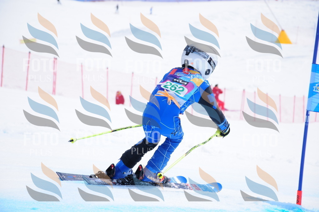 DSC_2504 | holidayphoto