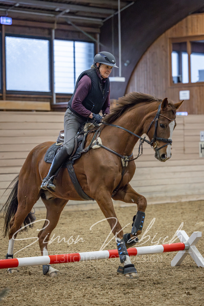 20260221-_3LI8349 | Tierfotografie Pferde, Hunde, Katzen, Haustiere.
Turnierfotografie Reitturniere, Reiten, Springreiten, Dressur in Hanau, dem Main-Kinzig-Kreis und dem Rhein-Main- Gebiet um Frankfurt