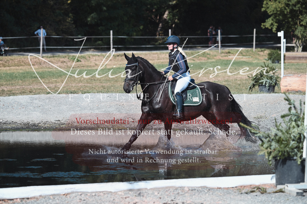 DSC_8812 | Pferde- und Turnierfotografie in Westsachsen. Pferdeportraits, Auftragszeichnungen und intuitive Kunst.
