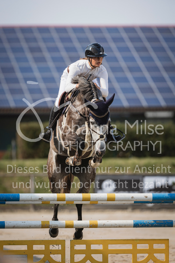 240627_LüPfSpTa_SprPf-M-239 | Deine schönsten Turniermomente als professionelle Fotos! Entdecke hochwertige Pferdesport-Fotografie im Online-Shop. Jetzt Fotos finden & bestellen!