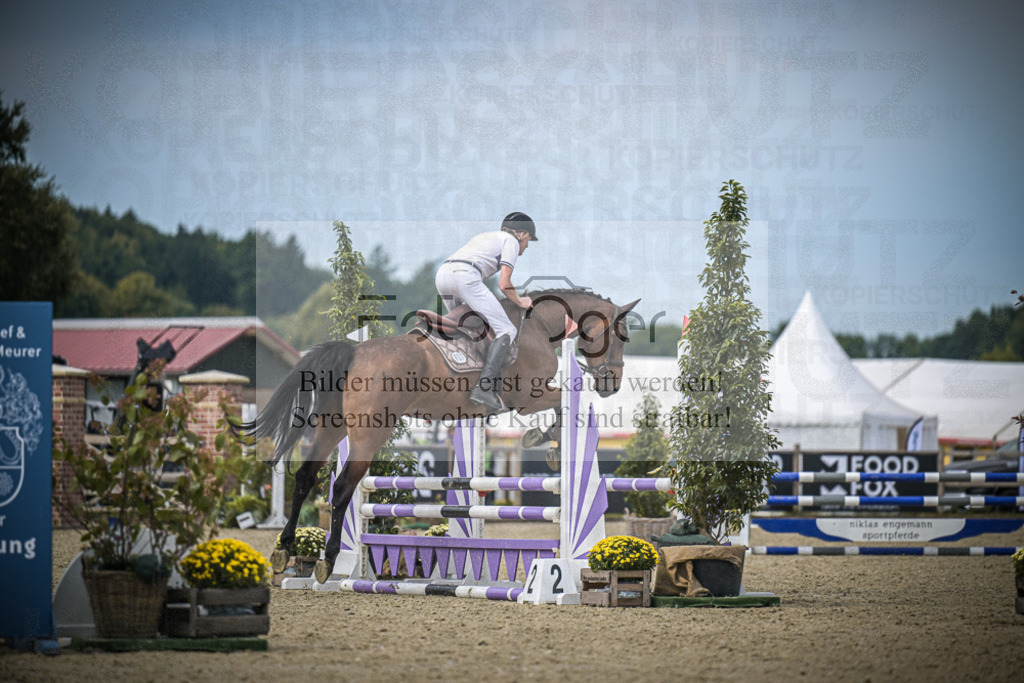 DOS_4186 | Entdecke hochwertige Reitturnierfotos von Foto Oger. Professionell, emotional und authentisch – jetzt Lieblingsmomente im Shop bestellen.Deutschlandweite Turnierfotografie. - Realisiert mit Pictrs.com