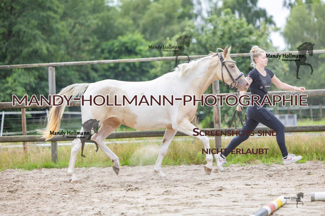 Hexenberg-346 | mandyhollmannphotographie