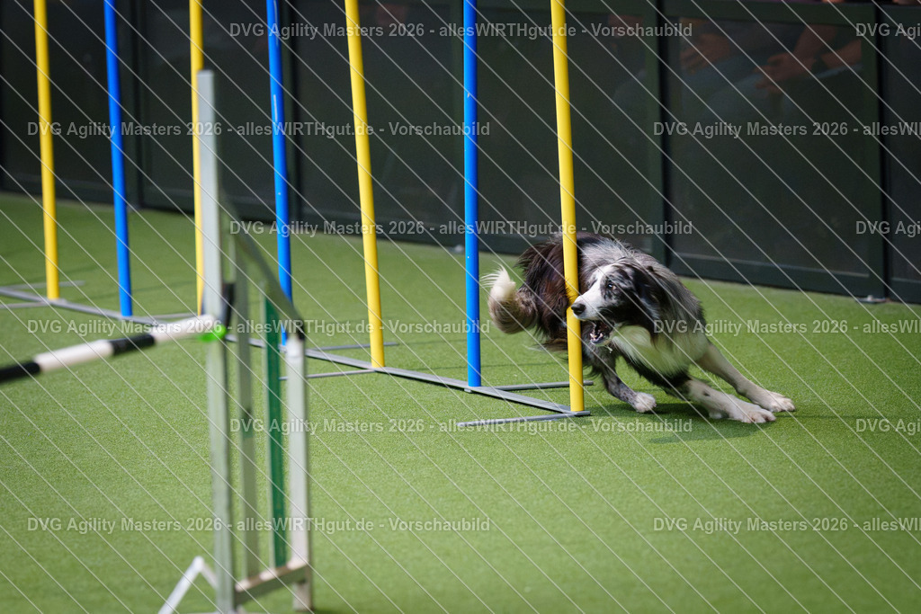allesWIRTHgut_Tierfotografie-DVG_Agility_Masters_2026-09_39-7R502339 | Professionelle Tierfotografie in Mönchengladbach von Daniel Wirth (allesWIRTHgut). Liebevolle & natürliche Bilder von Hunden & Katzen für unvergessliche Erinnerungen.
