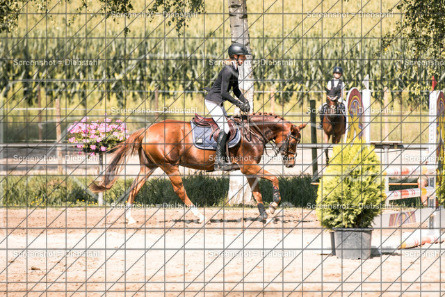 _W6A0490 | ronjaprokoschfotografie - Realisiert mit Pictrs.com