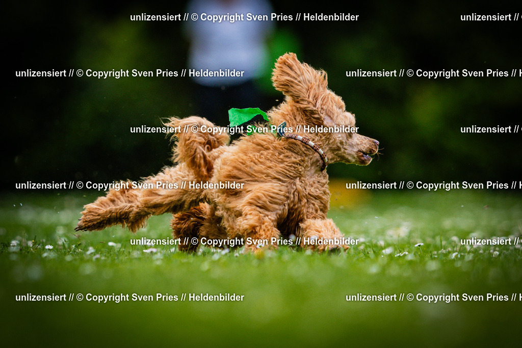 Sven Pries | 2025-05-29 - Pudelrennen KA-Durlach - Realisiert mit Pictrs.com