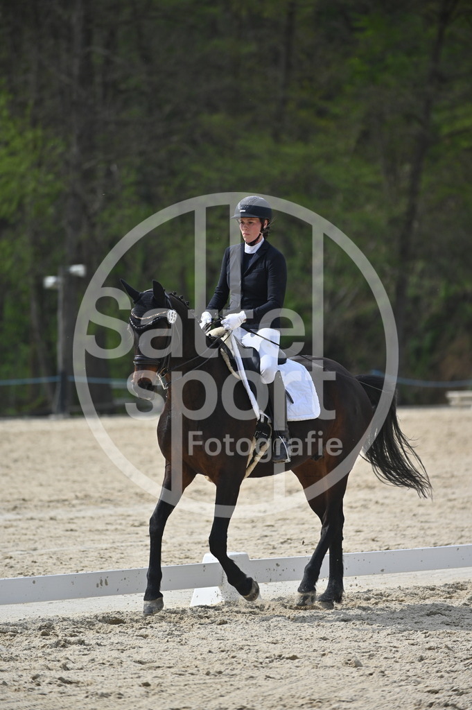 DSC_4312 | sattelsport - Realisiert mit Pictrs.com