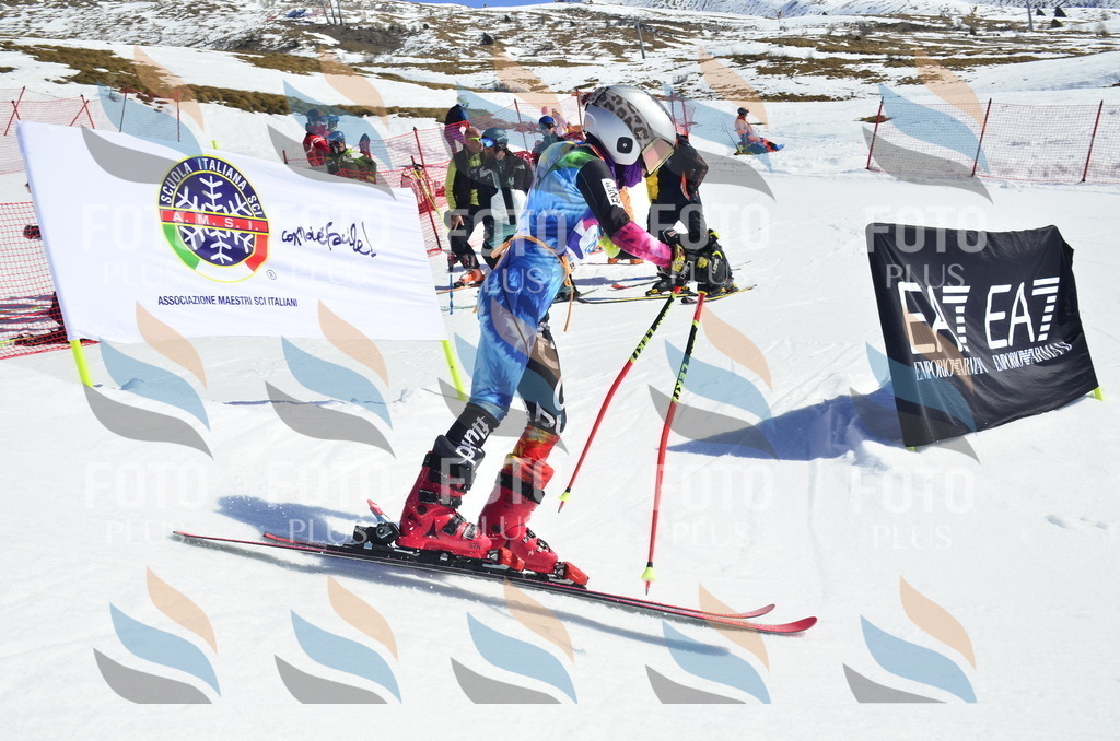 _ELE9921 | holidayphoto