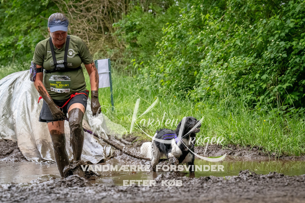 1538_ZZ94602-Bearbeitet | kk-dogfotos