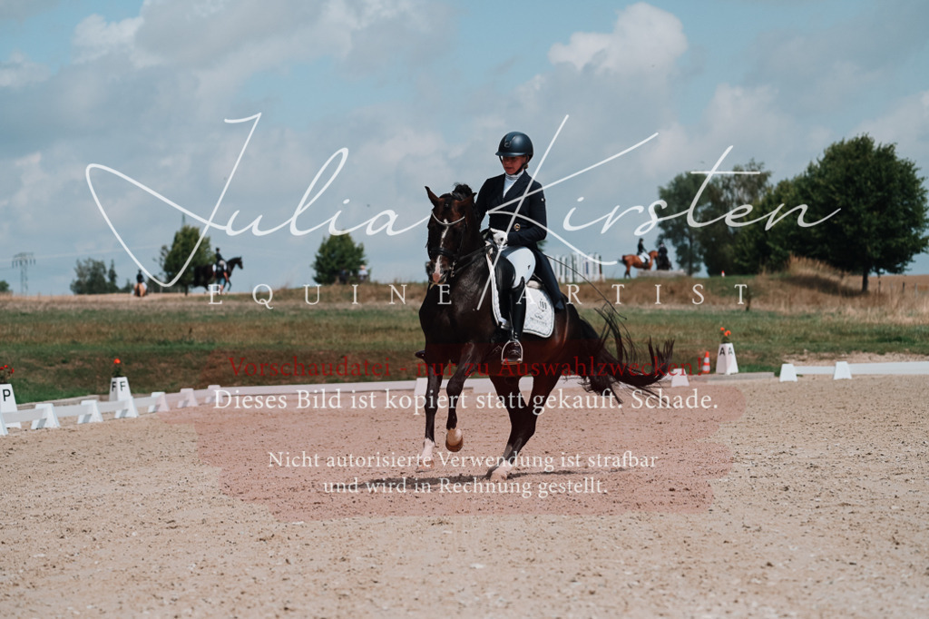 DSC_3957 | Pferde- und Turnierfotografie in Westsachsen. Pferdeportraits, Auftragszeichnungen und intuitive Kunst.