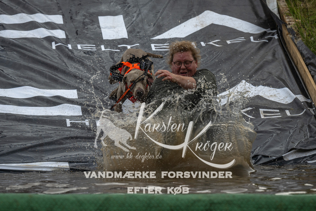 1618_ZZ90049 | kk-dogfotos