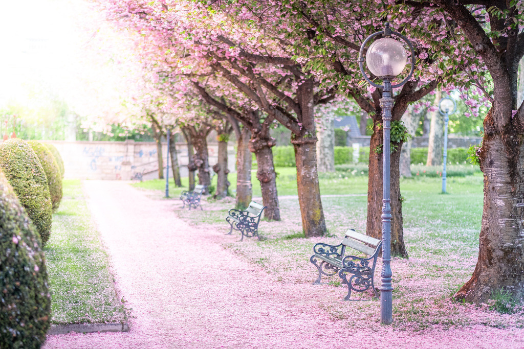 Landschaftsbilder_Landschaftsfotos_Kaufen_Wandbilder_Roman_-Huditsch-Fotografie_032_Kärnten_Klagenfurt | Exklusiver Webshop für hochwertige Landschaftsfotos aus Kärnten, Österreich und der ganzen Welt.
Landschaftsfotos auf Leinwand, Acrylglas, Aludibond
Wandbilder online kaufen, fürs Zuhause oder als Geschenk zum Geburtstag, Weihnachten und mehr - Realisiert mit Pictrs.com