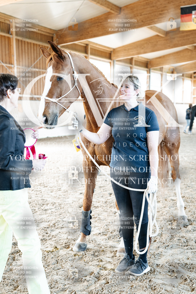 CK703171 | Turnierfotografie Pferdefotografie Trier Rheinland-Pfalz Pferdesport Reitsport Tierfotografie Sportfotografie Pferdevideo Pferdevideografie Equestrianvideography equestrianphotography  - Realisiert mit Pictrs.com