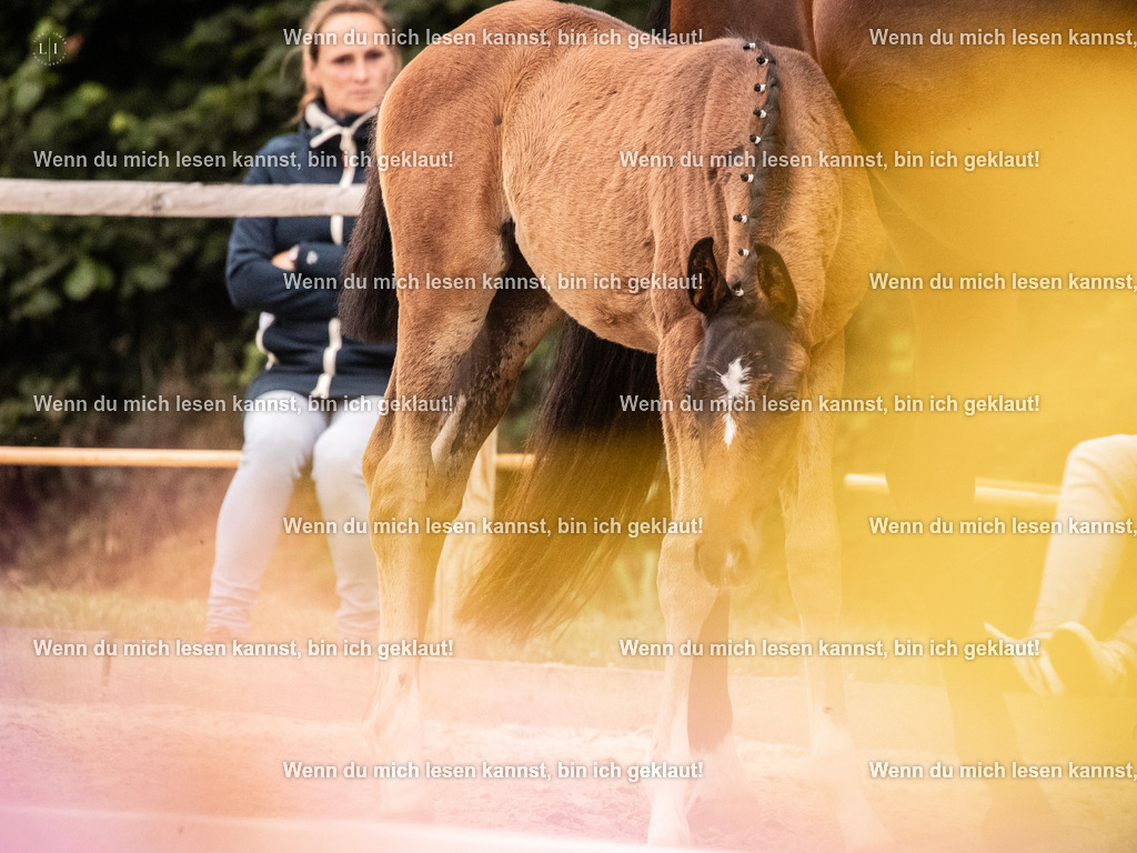 A10I6227 | photographylinaismer - Realisiert mit Pictrs.com