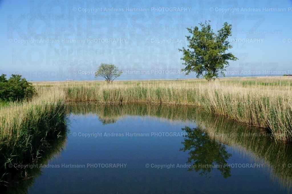Seenlandschaft am Kattegat | Seenlandschaft am Kattegat - Realisiert mit Pictrs.com
