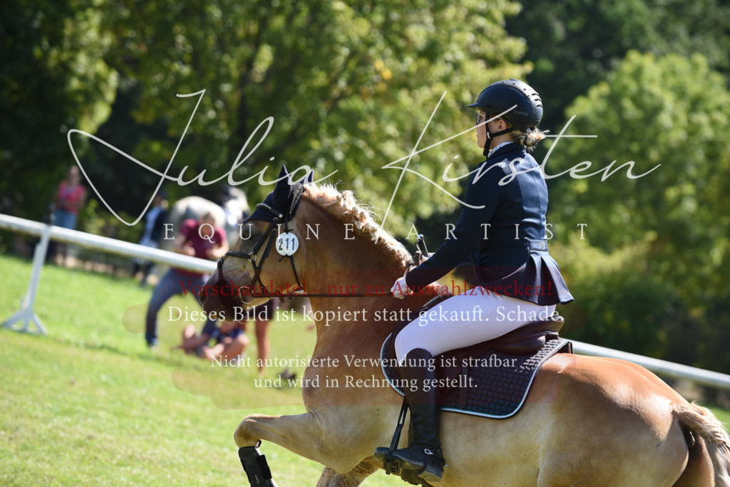 DSC_9500 | Pferde- und Turnierfotografie in Westsachsen. Pferdeportraits, Auftragszeichnungen und intuitive Kunst.