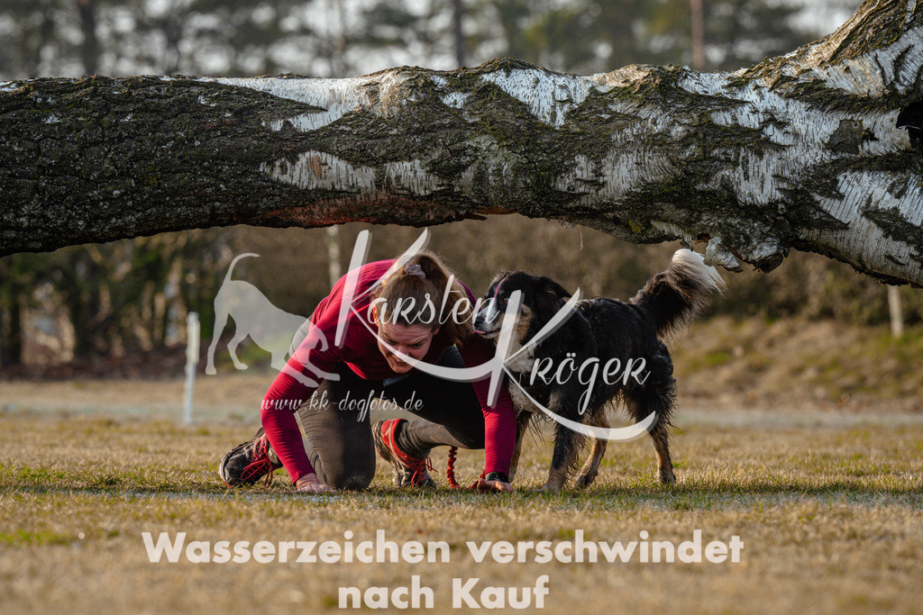 0832_ZZ95112 | kk-dogfotos