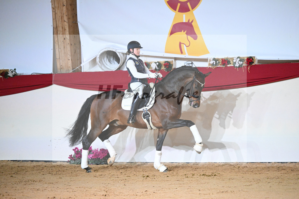 Vangelis_1234197 | hf-fotografie - Realisiert mit Pictrs.com