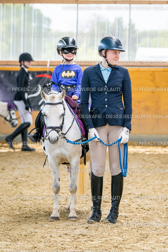 DSC00199 | Pferdegrafie