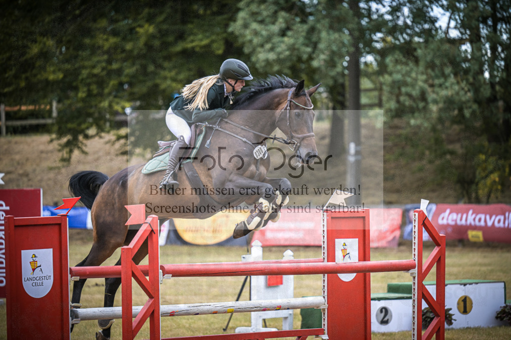 DOS_0146 | Entdecke hochwertige Reitturnierfotos von Foto Oger. Professionell, emotional und authentisch – jetzt Lieblingsmomente im Shop bestellen.Deutschlandweite Turnierfotografie. - Realisiert mit Pictrs.com