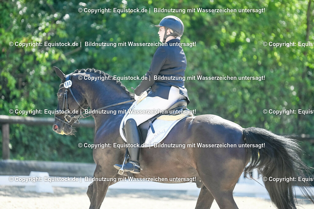 20230908_06_Dressur-L-Trense_0702 | equistock