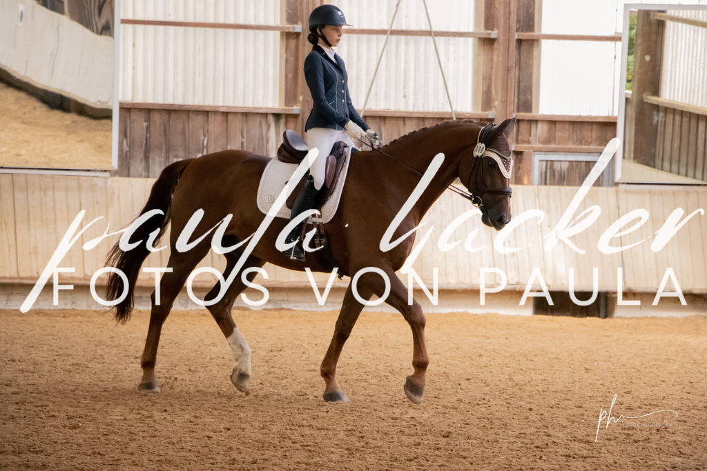 IMG_4780 | Erleben Sie dynamische Sport- und emotionale Tierfotografie in Süddeutschland mit Fotos von Paula. Spezialisiert auf Pferde- und Hundefotografie sowie Sportevents. Kontaktieren Sie mich für einzigartige und ausdrucksstarke Bilder Ihrer besonderen Momente. - Realisiert mit Pictrs.com
