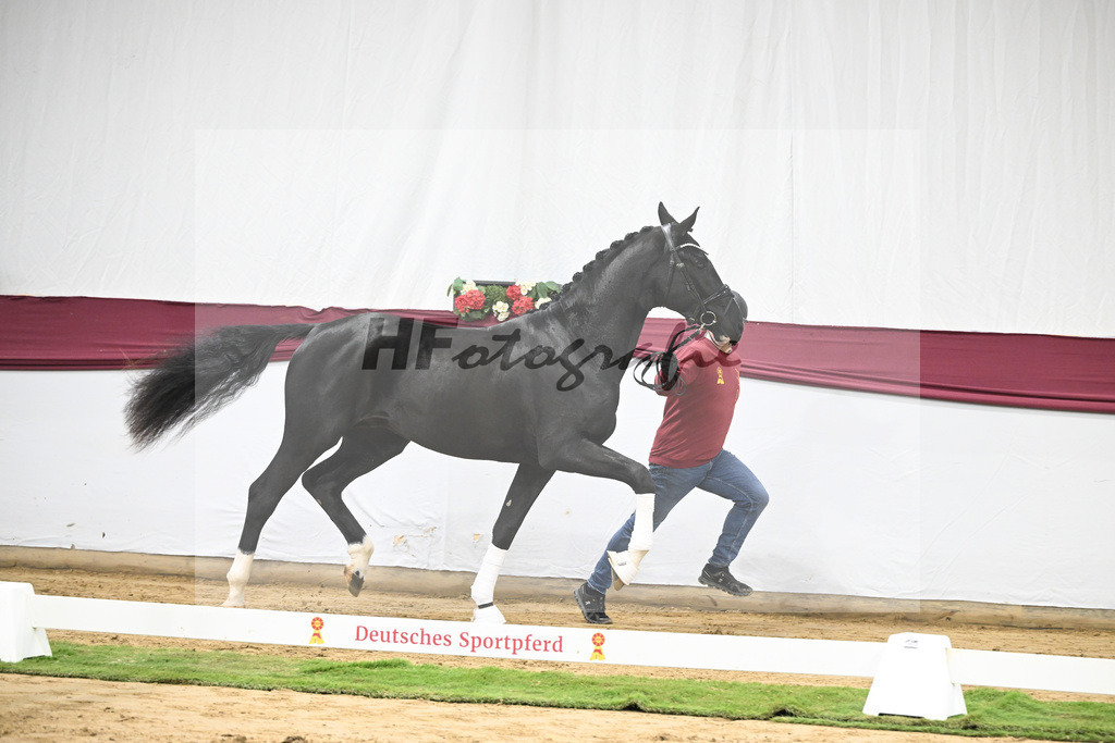 Kat-Nr. 59 Bloomberg x Gribaldi_T. _Stefan Schumacher_47252204 | hf-fotografie - Realisiert mit Pictrs.com