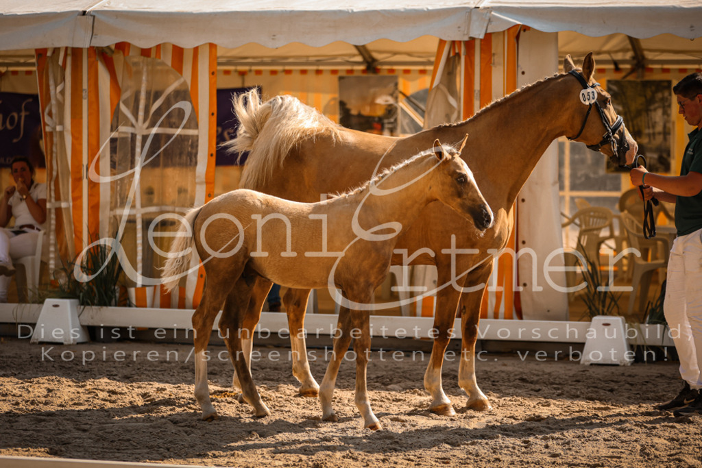 11.DoRP00091 | Leoni Ertmer Photography - Realisiert mit Pictrs.com