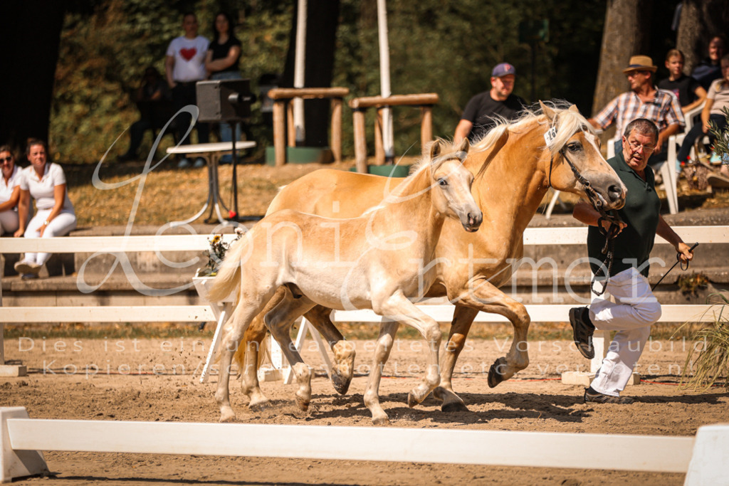 06.DoH00102 | Leoni Ertmer Photography - Realisiert mit Pictrs.com