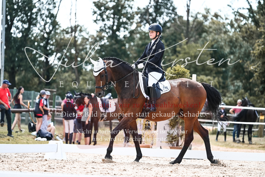 DSC_5643 | Pferde- und Turnierfotografie in Westsachsen. Pferdeportraits, Auftragszeichnungen und intuitive Kunst.