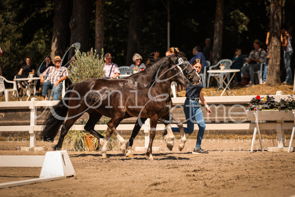 04.DoWP00084 | Leoni Ertmer Photography - Realisiert mit Pictrs.com