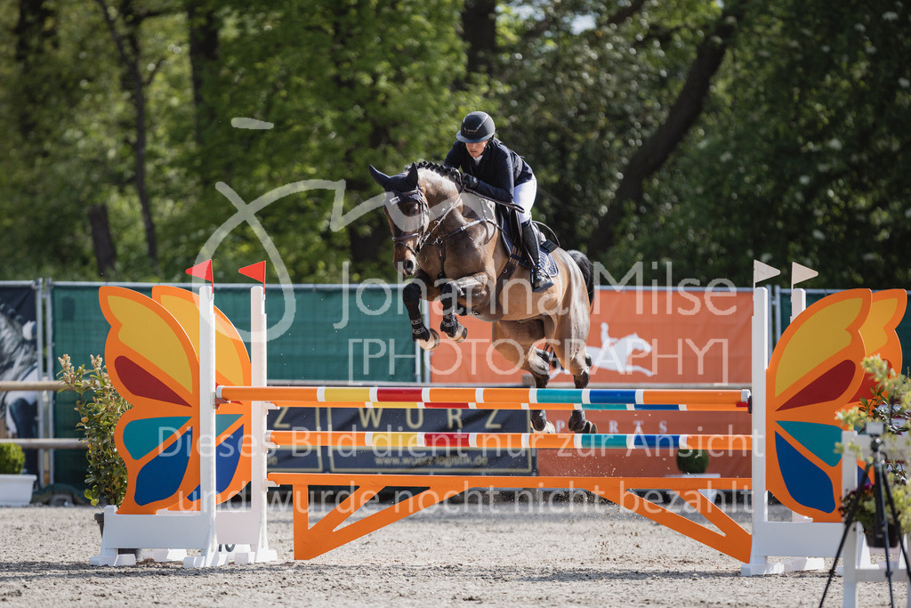 230516_Mühlen_05SprPf-L-510 | Deine schönsten Turniermomente als professionelle Fotos! Entdecke hochwertige Pferdesport-Fotografie im Online-Shop. Jetzt Fotos finden & bestellen!