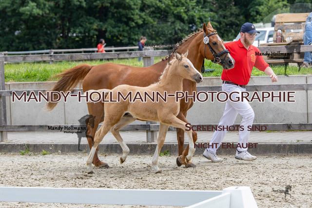 0P2A3015 | mandyhollmannphotographie