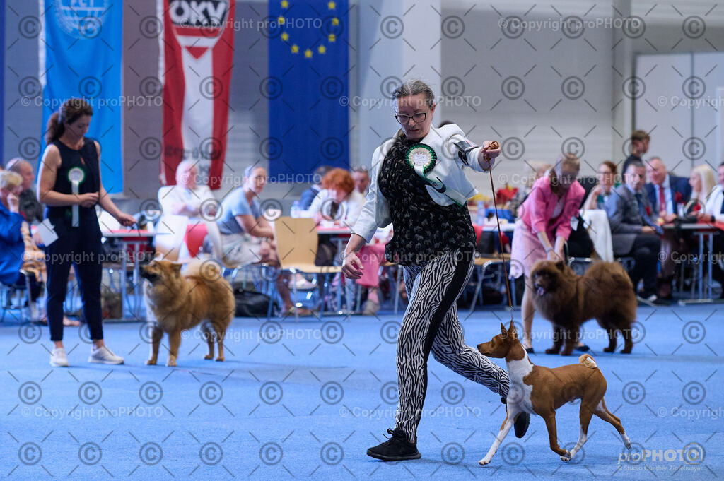 202406_ÖKV-IHA-Tulln24_DSC_3952 | proPHOTO - Realisiert mit Pictrs.com