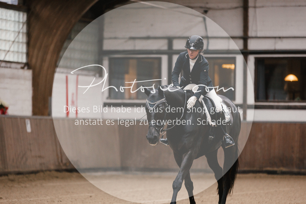 3I6A6328 | Stimmungsvolle Portraits und Reitsportfotografie im Ruhrgebiet und im Münsterland.

Pferdefotografie, Hundefotografie, Tierfotografie, Reportagen, Portraits von Tier und Mensch, Turnierfotografie in Bochum, Recklinghausen, Marl, Haltern am See, Dülmen.. - Realisiert mit Pictrs.com