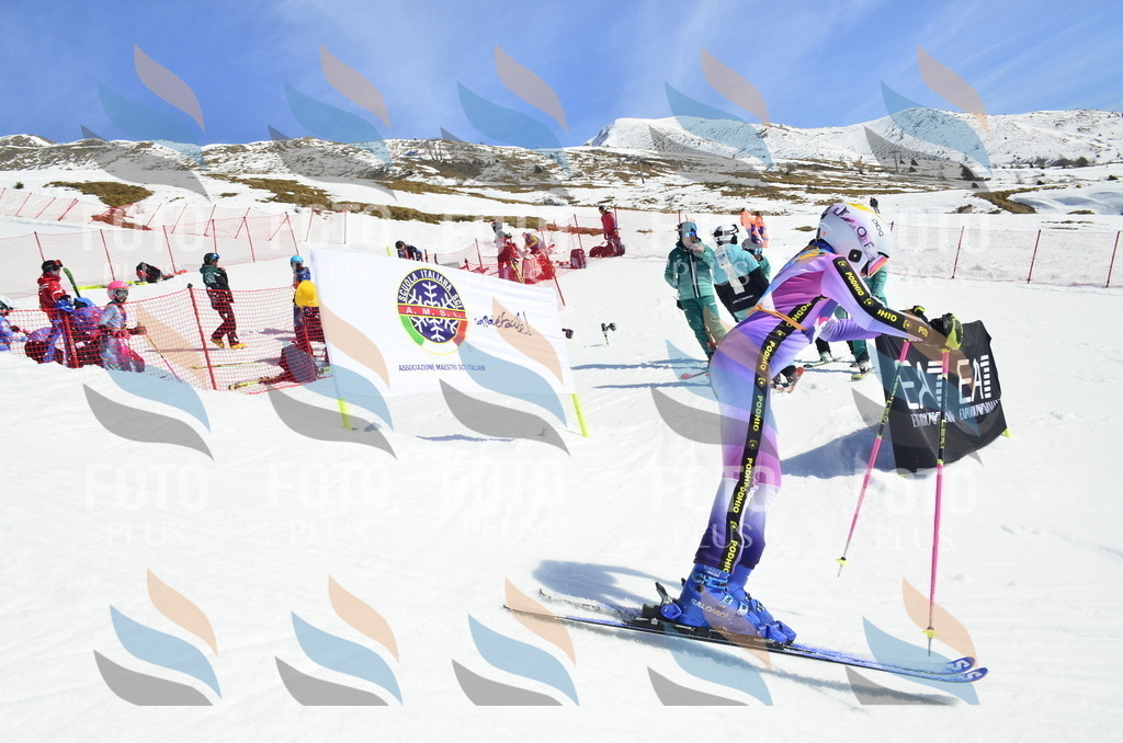 _ELE0786 | holidayphoto