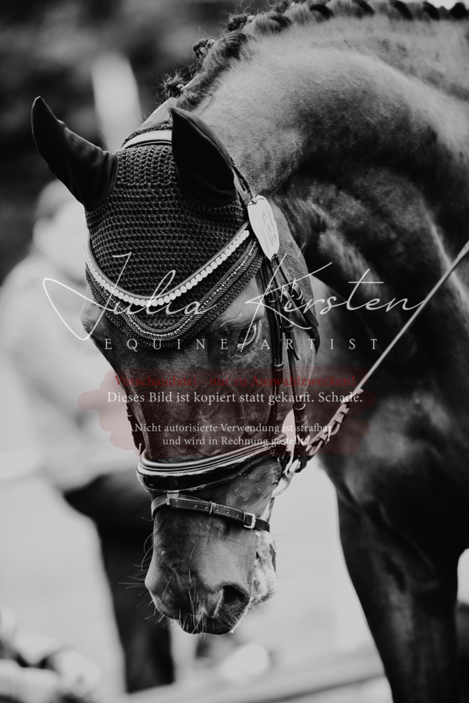 DSC_2830 | Pferde- und Turnierfotografie in Westsachsen. Pferdeportraits, Auftragszeichnungen und intuitive Kunst.