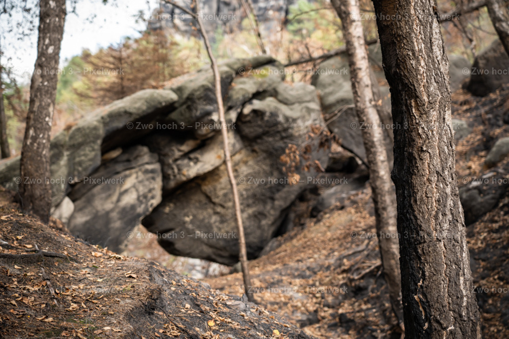 Obere_Affensteinpromenade_Siegfried_Bergfried_Birke_Felsentor | 2022-09-02_Waldbrandgebiete_2 - Realisiert mit Pictrs.com