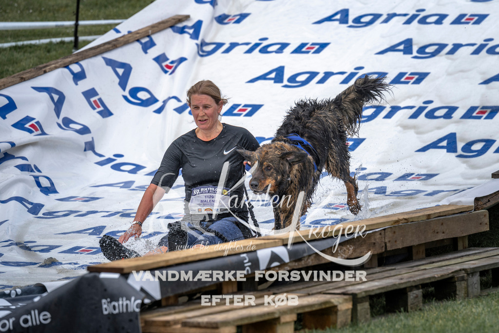 1145_ZZ93716 | kk-dogfotos